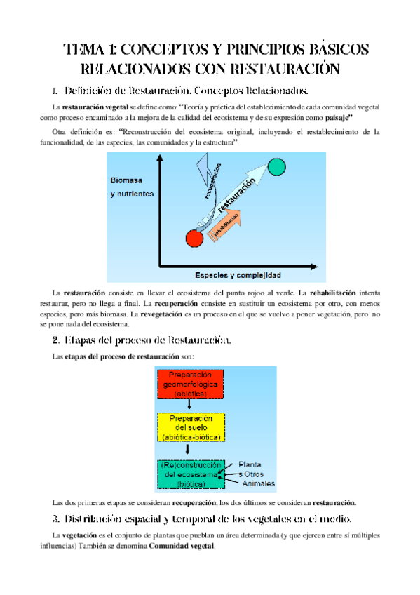 Miniatura del documento TEMA-1-REST.pdf