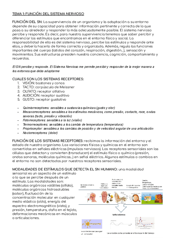 Miniatura del documento LISTA-DE-CONCEPTOS-PSICOBIOLOGIA-PARCIAL-1.pdf