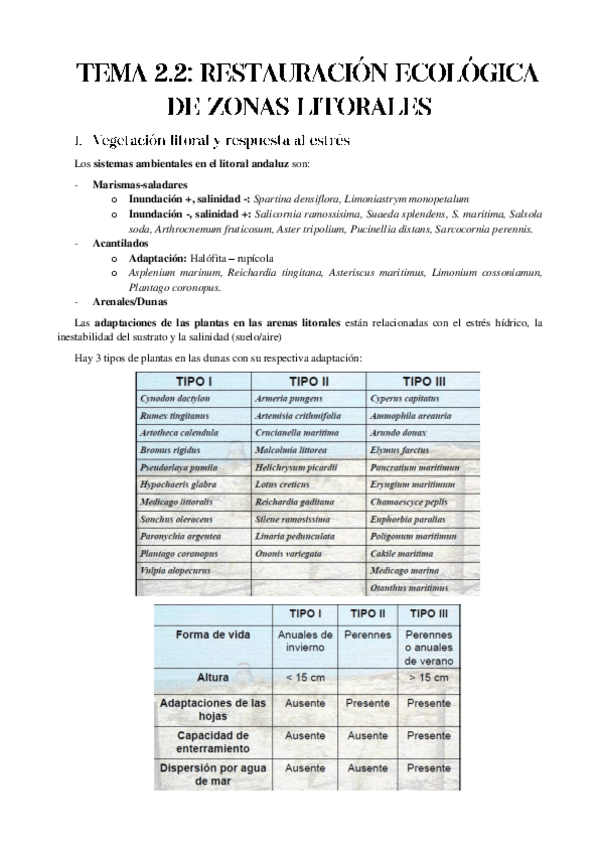 Miniatura del documento TEMA-2.2-REST.pdf