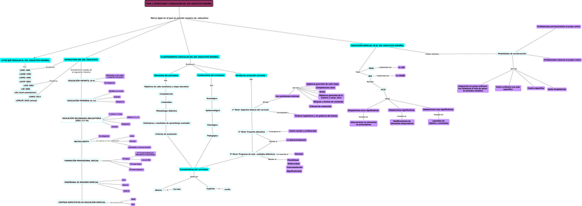Miniatura del documento MAPA-CONCEPTUAL-TEMA-1.jpg