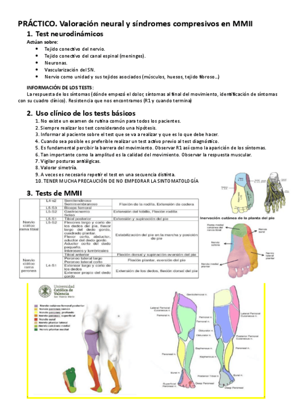 Miniatura del documento Practica-MMII.pdf