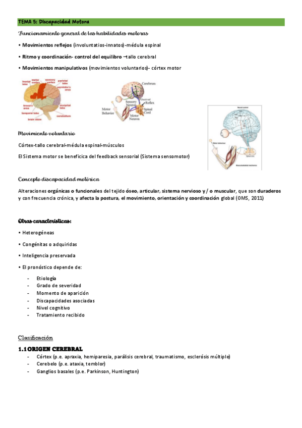 Miniatura del documento T5-NEC-ESP.pdf