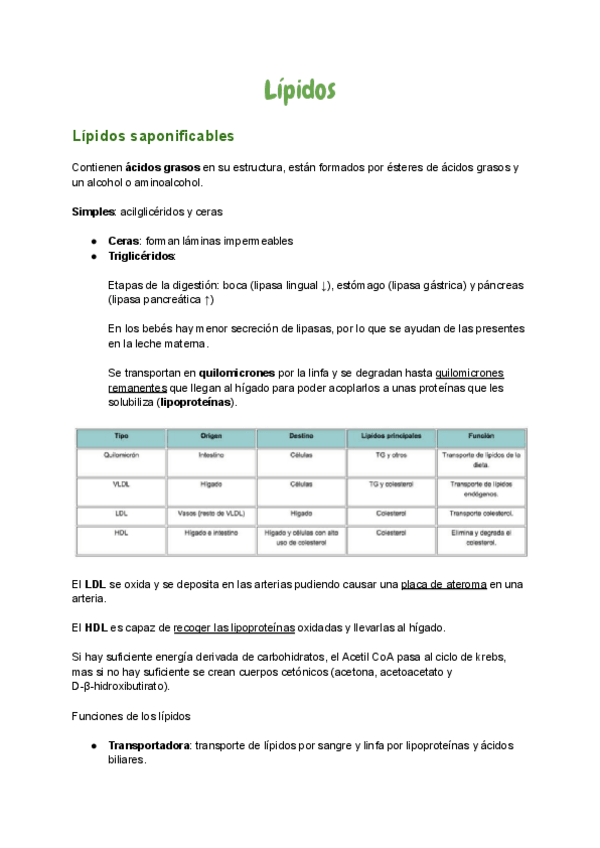 Miniatura del documento 4.-Lipidos.pdf