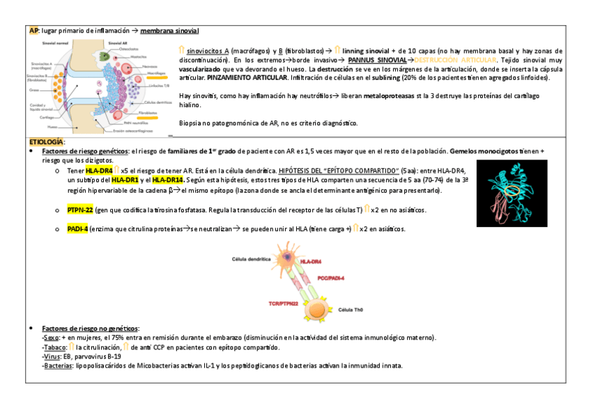 Miniatura del documento AR-II.pdf