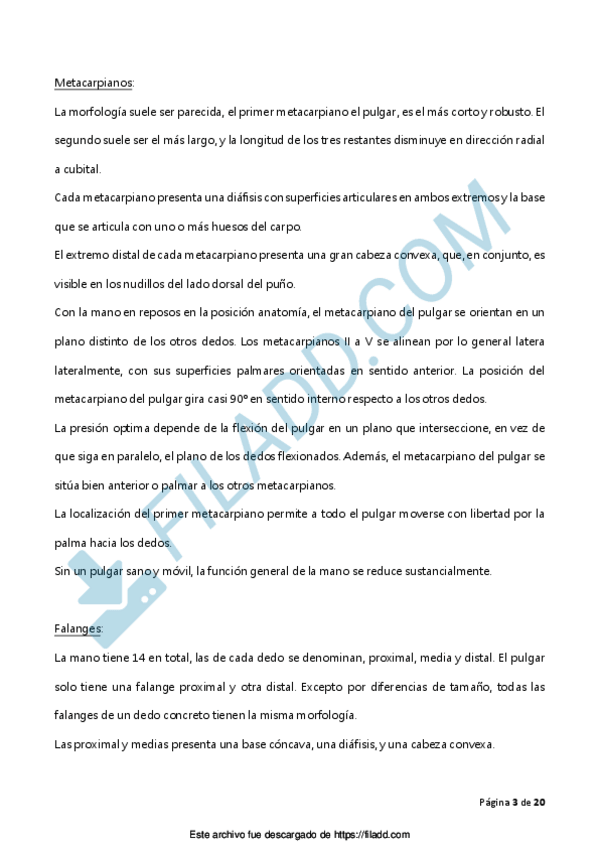 Miniatura del documento BIOMECANICA-TODO-3.pdf
