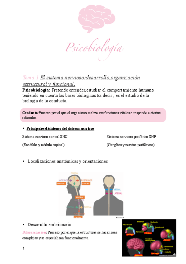 Miniatura del documento Psicobiologia-T-1-y-2.pdf
