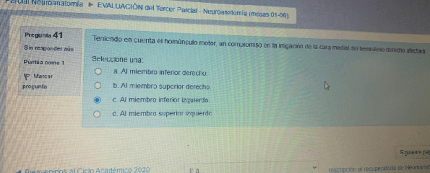 Miniatura del documento neuro-Genetica-humana-40.pdf