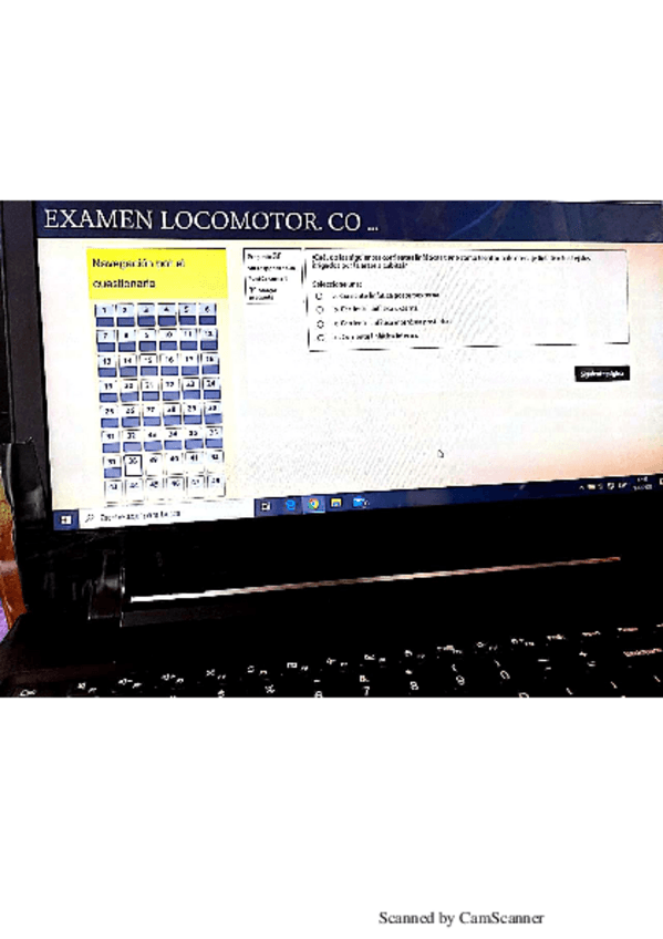 Miniatura del documento Locomotor13.pdf