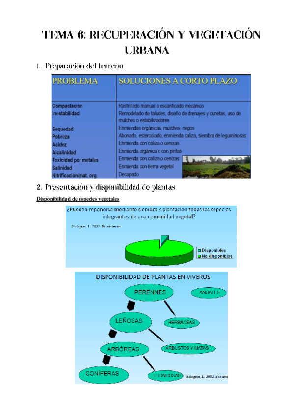 Miniatura del documento TEMA-6-REST.pdf