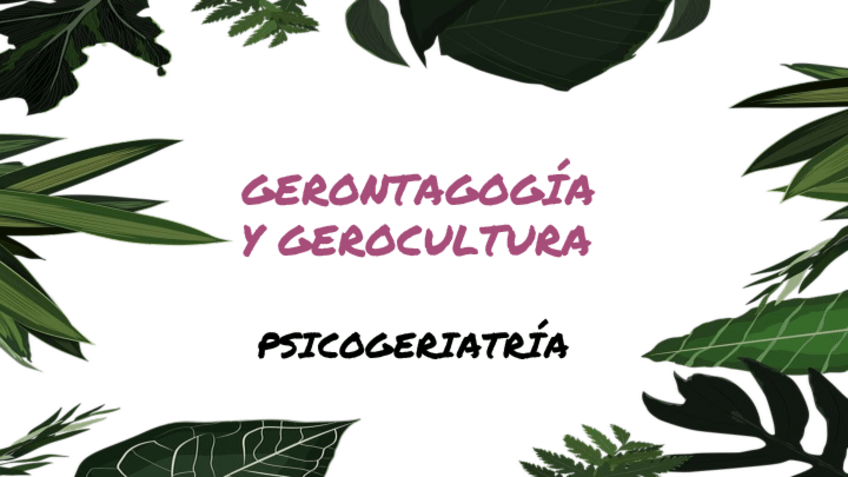 Miniatura del documento Trabajo-geriatria.pdf