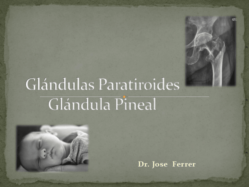 Miniatura del documento GLANDULA PARATIROIDES Y PINEAL (ENFERMEDADES).pdf