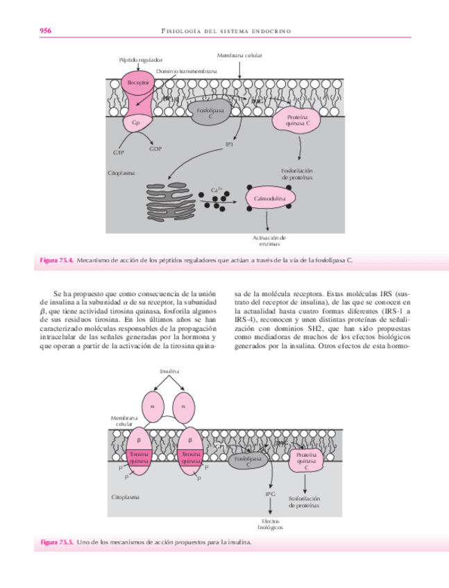 Miniatura del documento libro123-42.pdf
