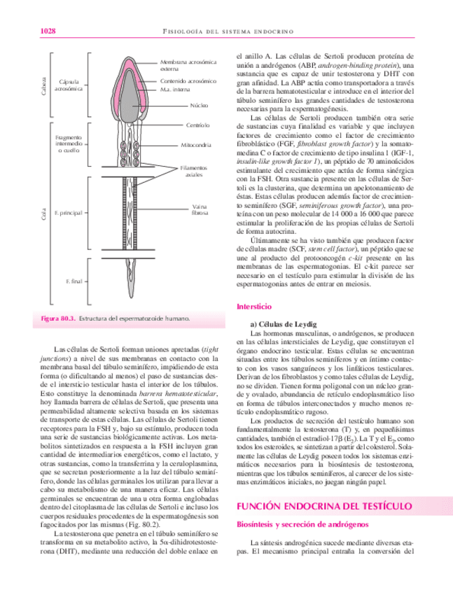 Miniatura del documento libro123-45.pdf