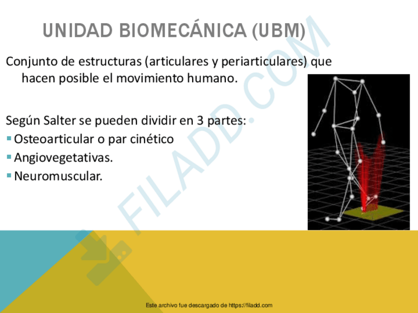 Miniatura del documento TEMAS-BIOMECANICA-4.pdf