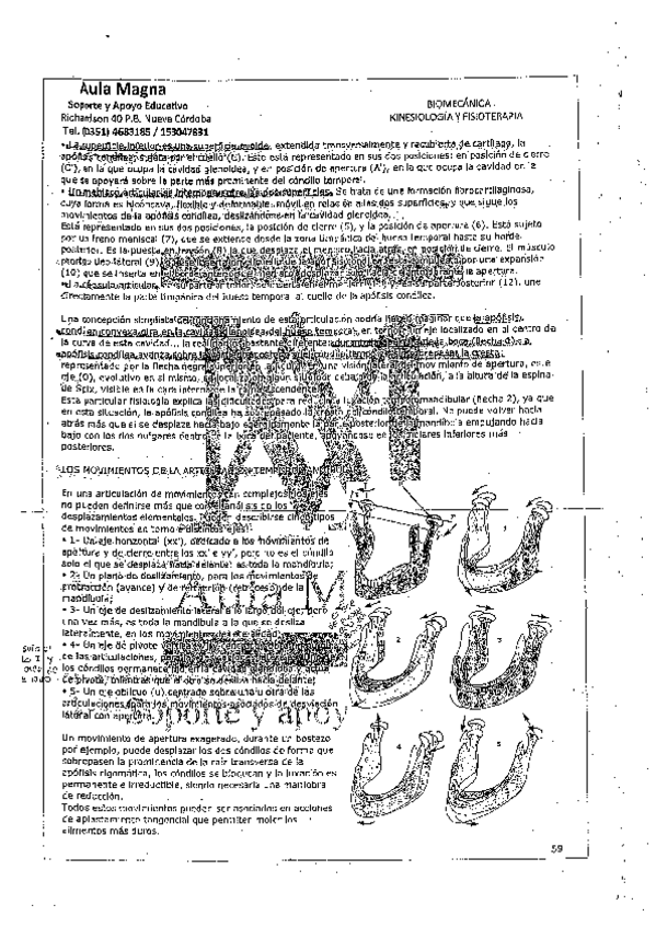 Miniatura del documento TEMAS-BIOMECANICA-11.pdf