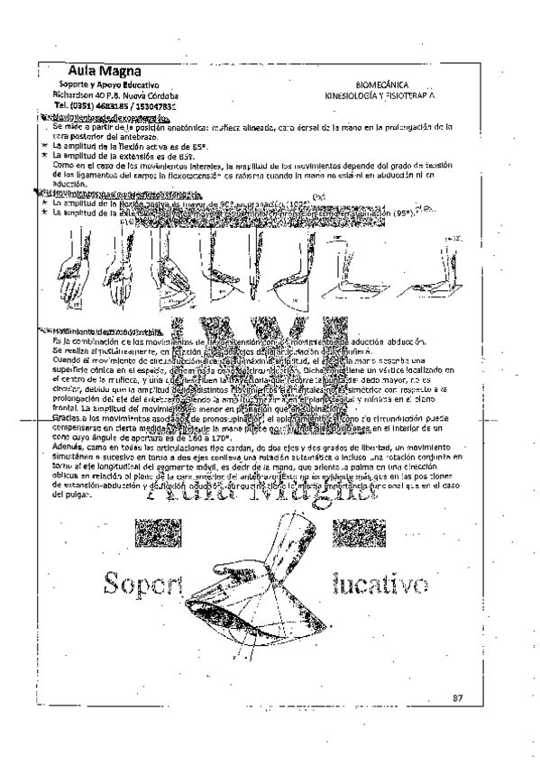 Miniatura del documento TEMAS-BIOMECANICA-13.pdf