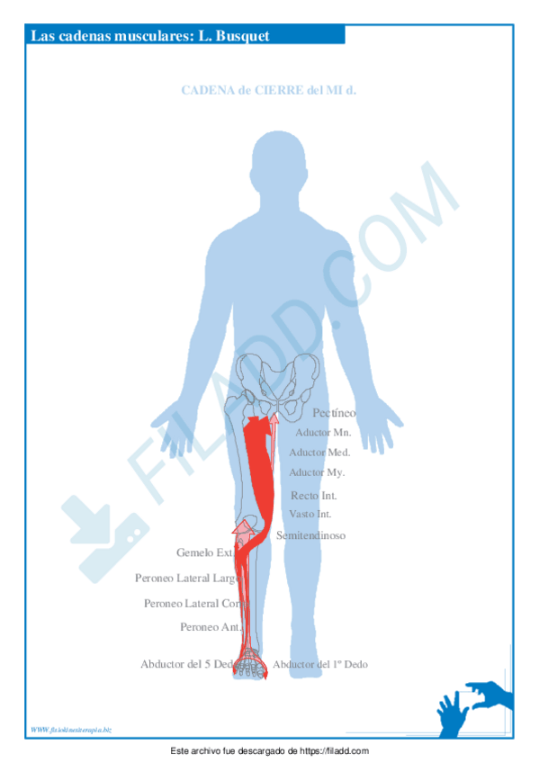 Miniatura del documento TEMAS-BIOMECANICA-18.pdf