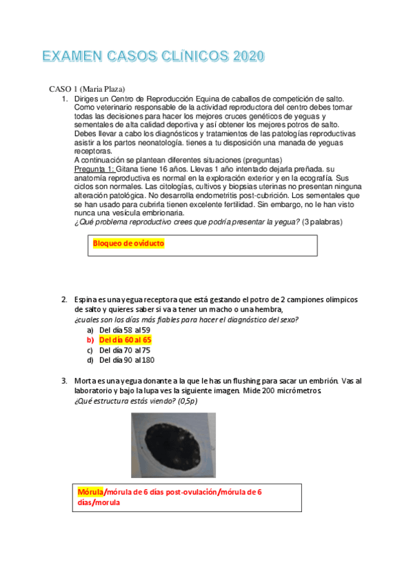 Miniatura del documento EXAMEN-CASOS-CLINICOS-CE-2-2020.pdf