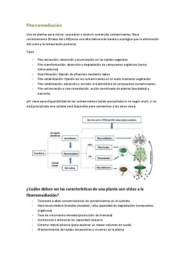 Miniatura del documento Fitorremediación (2).pdf