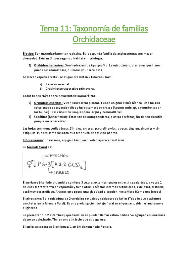 Miniatura del documento Tema-11-Taxonomia-de-familias-Orchidaceae.pdf