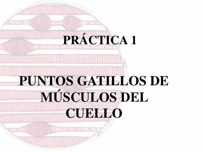 Miniatura del documento TEMARIO-PRACTICAS-MASOTERAPIA.pdf