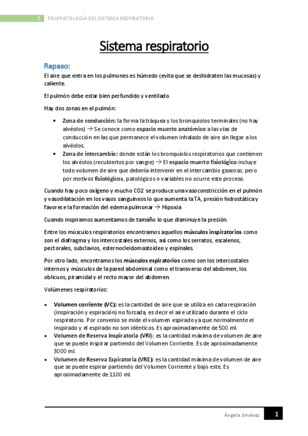 Miniatura del documento Sistema-Respiratorio.pdf