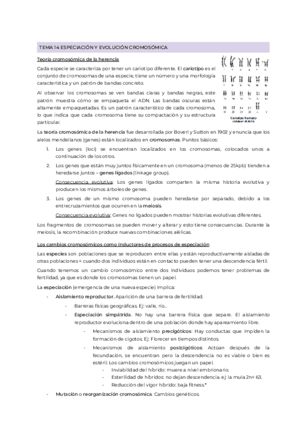 Miniatura del documento Tema14Evo.pdf