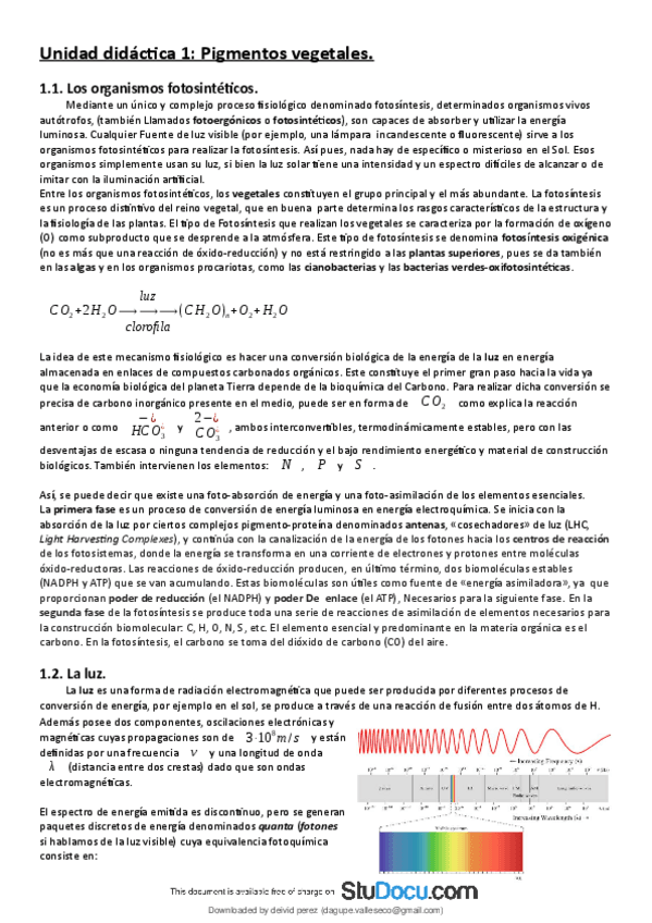 Miniatura del documento Teoria-Robaina-StuDocu.pdf