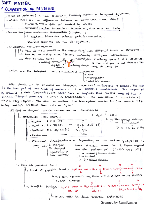 Miniatura del documento BLANDOS.pdf