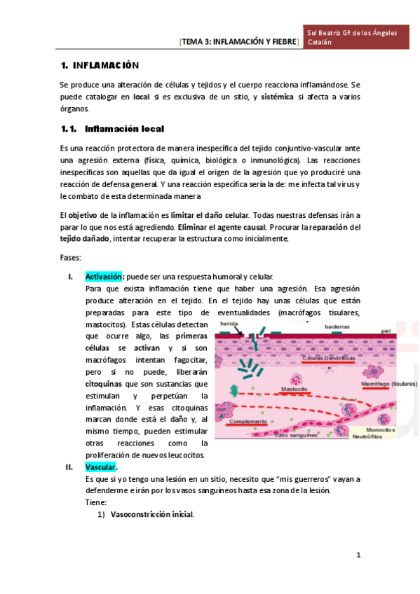 Miniatura del documento TEMA 3 INFLAMACION Y FIEBRE.pdf