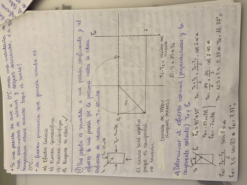 Miniatura del documento IMG5643.jpeg