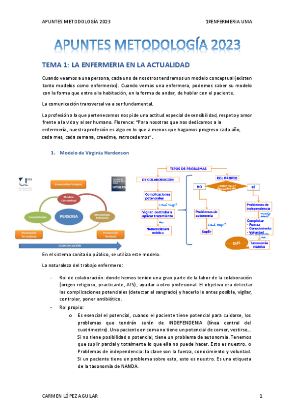 Miniatura del documento Apuntes-completos-Metodologia-2023.pdf