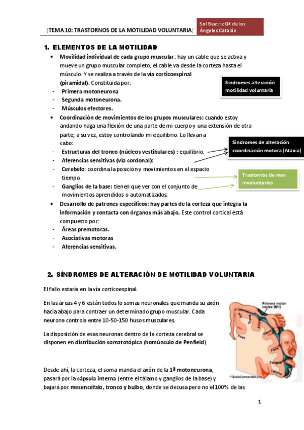 Miniatura del documento TEMA 10 TRASTORNOS MOTILIDAD.pdf
