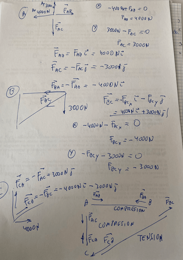 Miniatura del documento IMG5690.jpeg