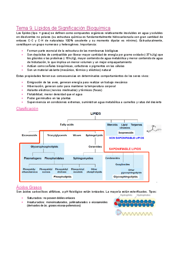 Miniatura del documento Tema-9.-Lipidos-de-significacion-bioquimica.pdf