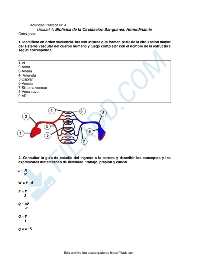Miniatura del documento HemodinamiaAna-Orellana.pdf