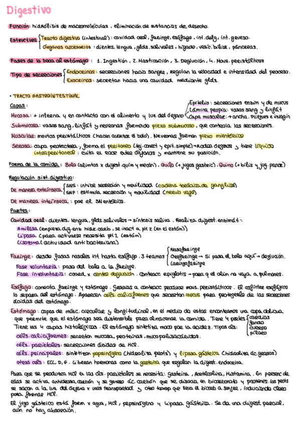 Miniatura del documento Resumen-Digestivo.pdf