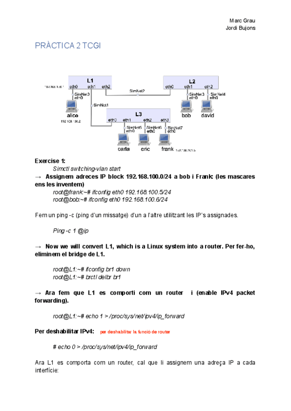 Miniatura del documento MEMORIA-P2-TCGI.pdf