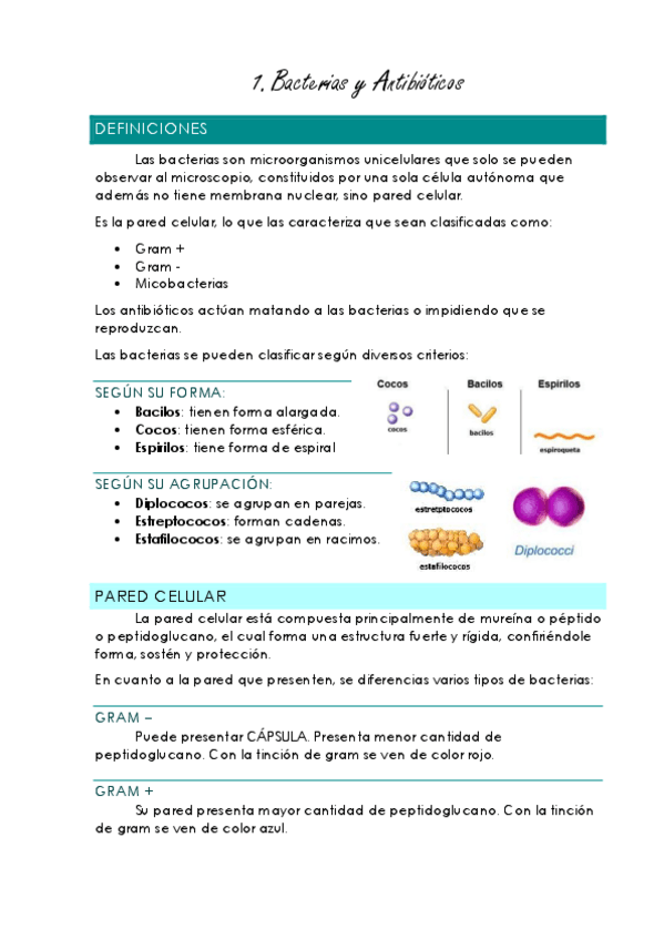 Miniatura del documento Antibioticos-1-y-2-mio.pdf