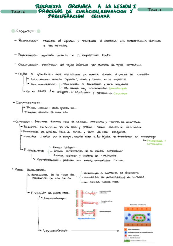 Miniatura del documento T23478-Fisiopatologia.pdf