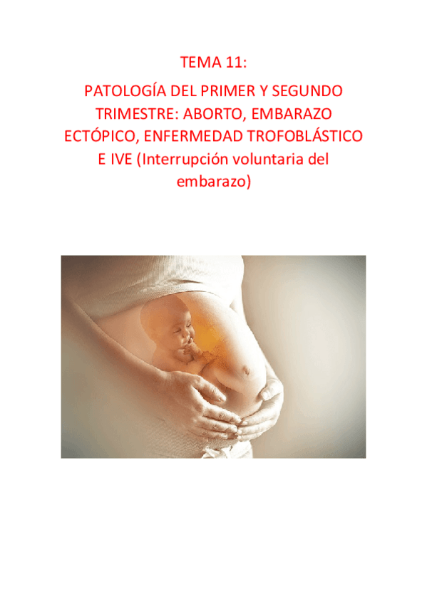 Miniatura del documento TEMA-11.pdf