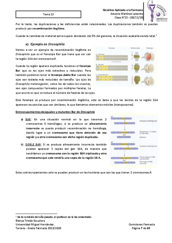 Miniatura del documento GF-noTODOS-13.pdf