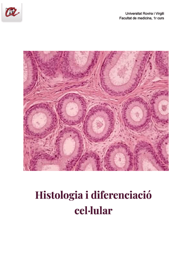 Miniatura del documento APUNTS-FINALS-HISTO.pdf