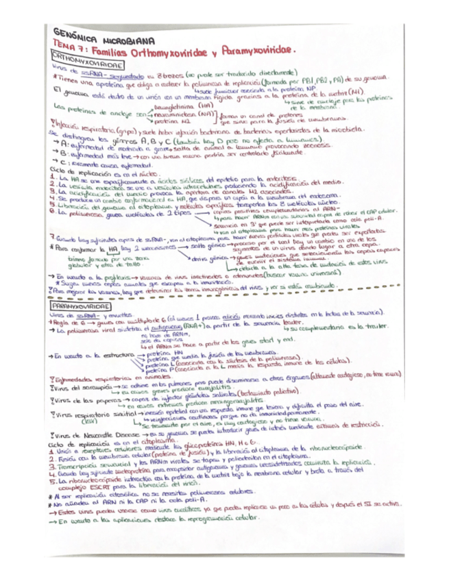 Miniatura del documento TEMA-7.pdf