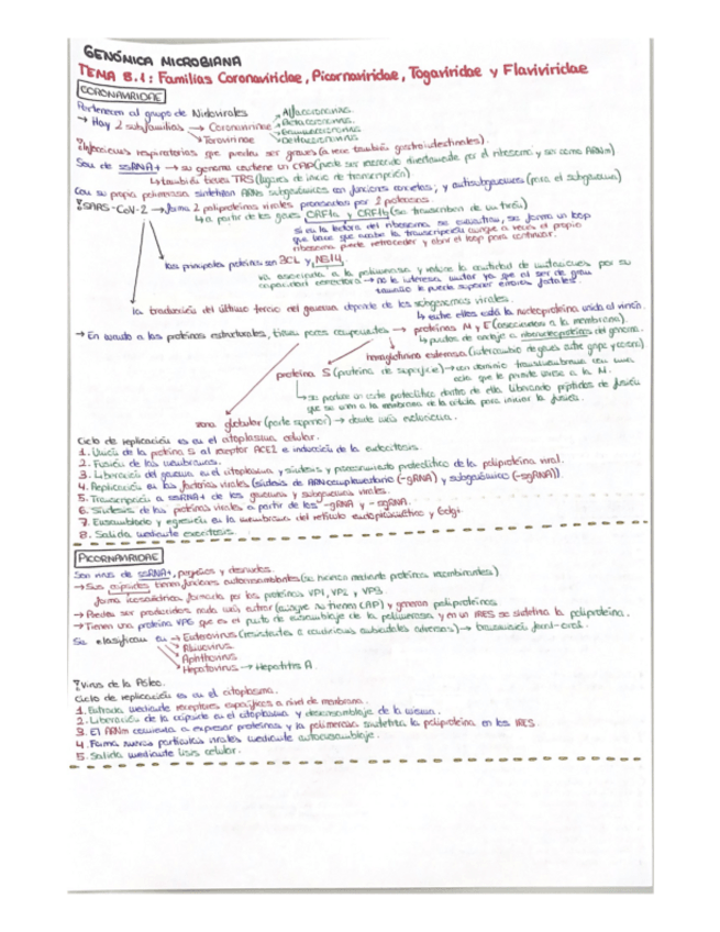 Miniatura del documento TEMA-8.1.pdf