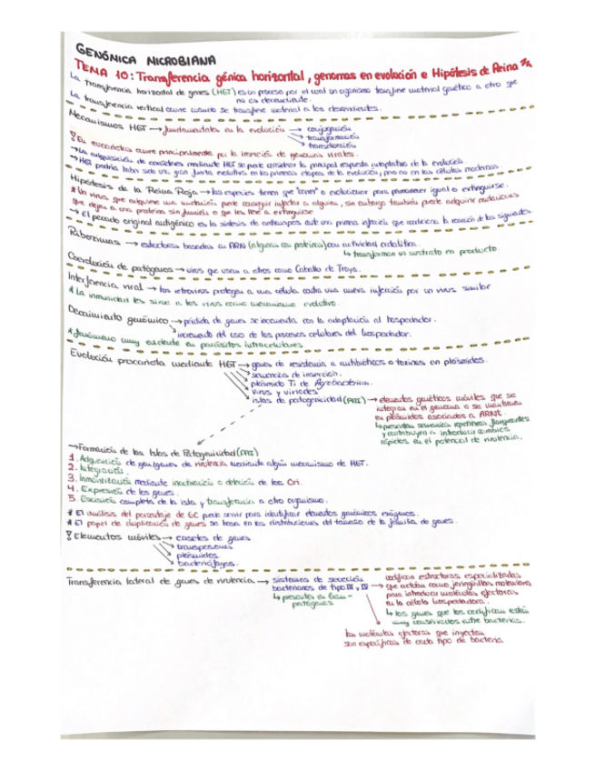 Miniatura del documento TEMA-10.pdf