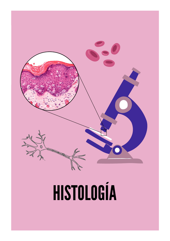 Miniatura del documento Portada-Histologia.pdf