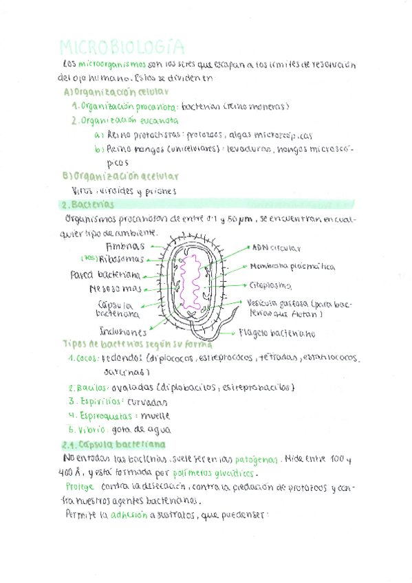 Miniatura del documento Microbiologia.pdf