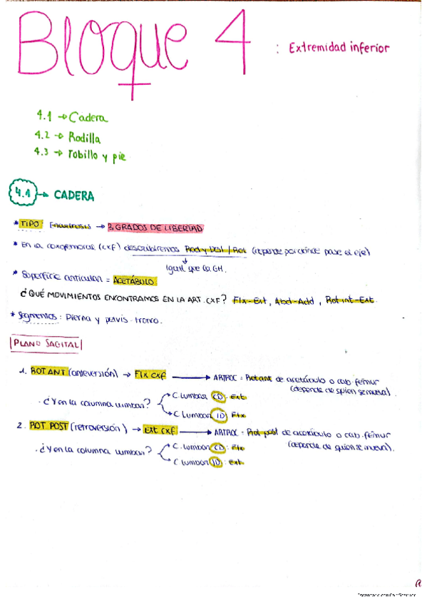 Miniatura del documento B4-Biomecanica-MMII.pdf