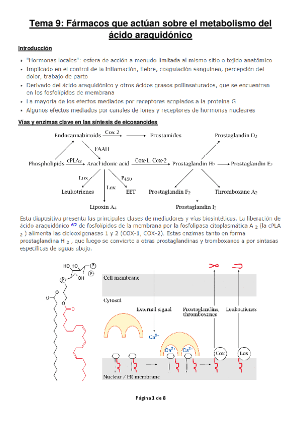 Miniatura del documento Tema 9.pdf